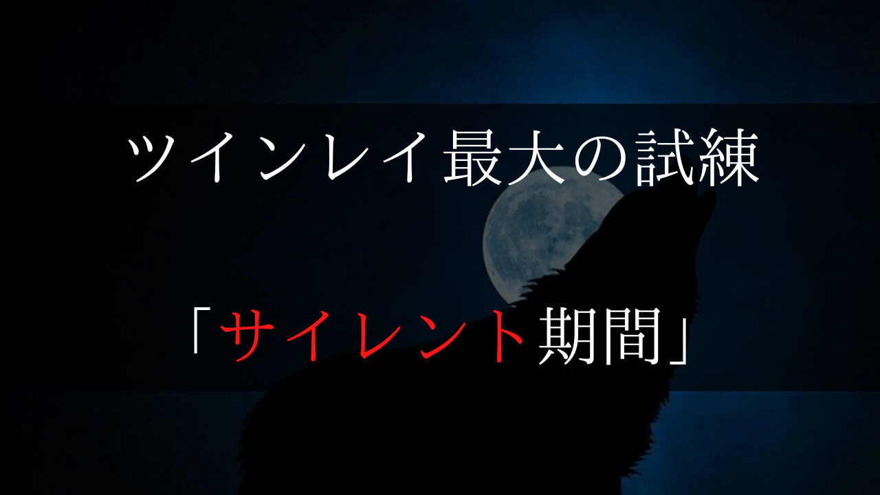 ツインレイのサイレント期間 正しい過ごし方で終わりを早める方法 Dimidium Anima