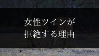 エンジェルナンバー１１１で ツインレイのサイレント期間が終わる Dimidium Anima